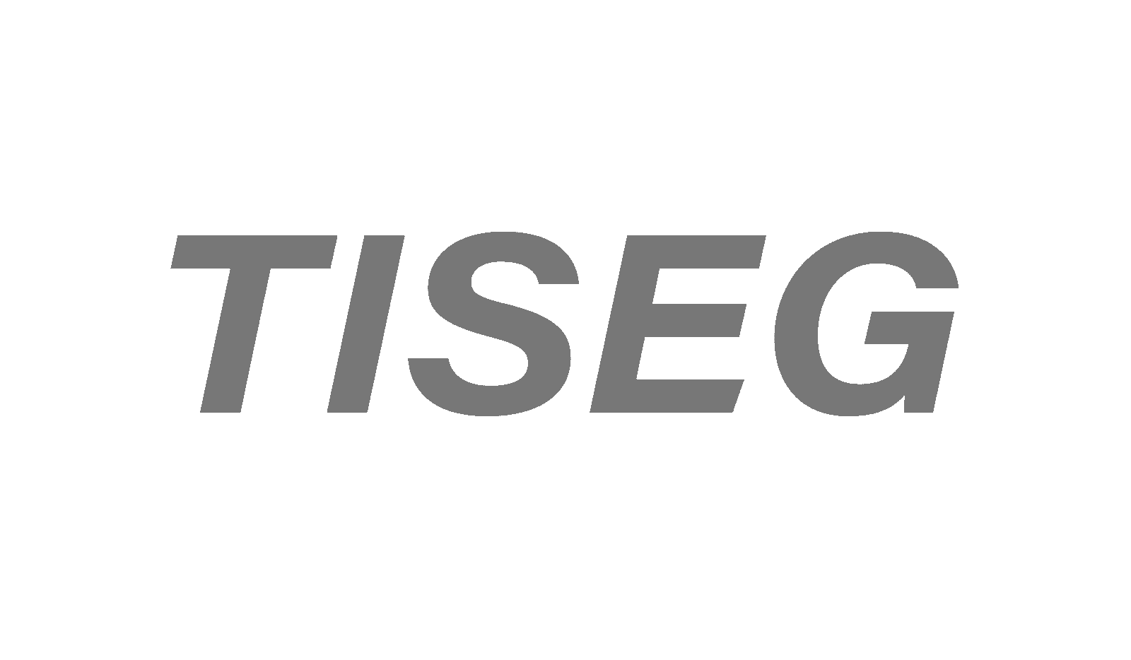 tiseg-04
